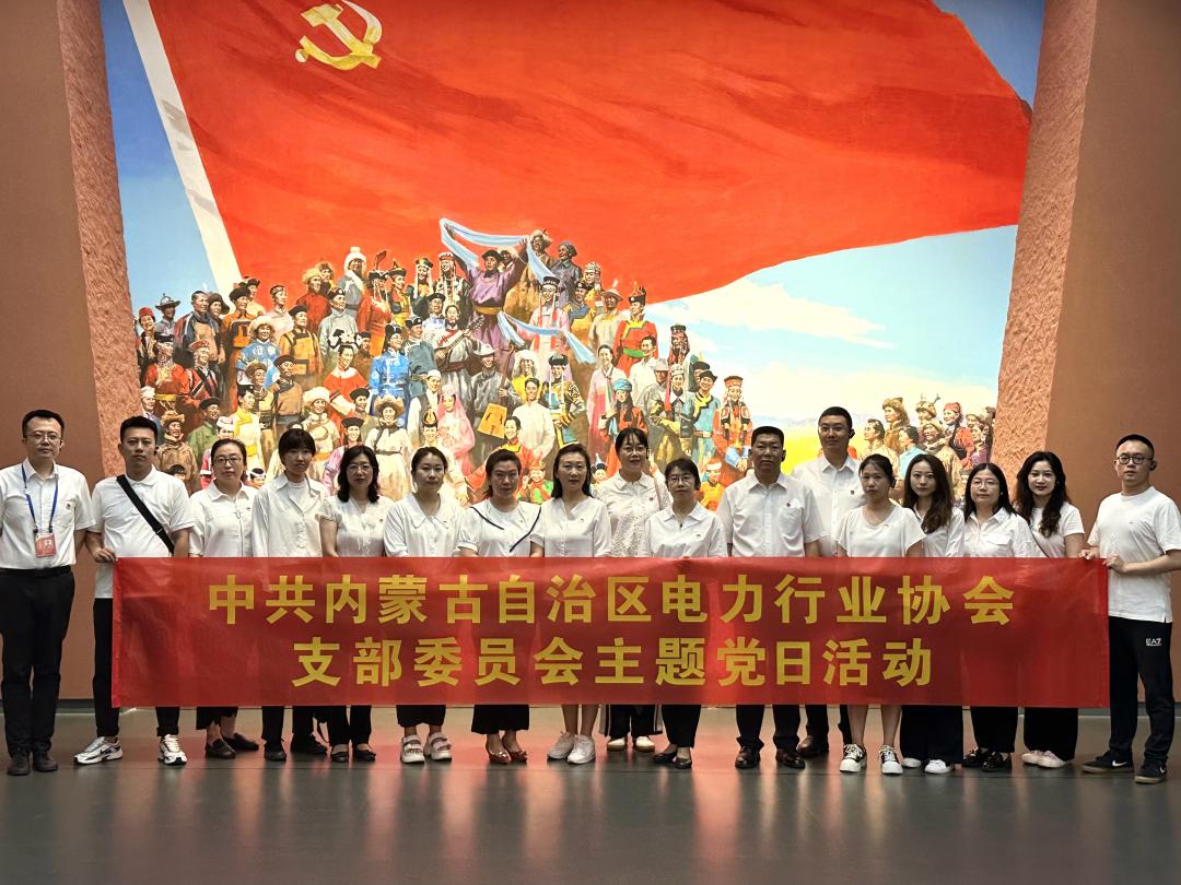 “传承红色基因，铸牢中华民族共同体意识”主题党日活动”